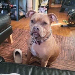 Meet your Posher, Aisha